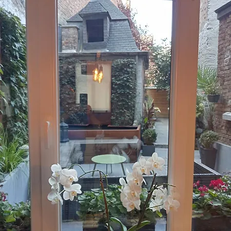 Couque Cuivree Ii * Dinant